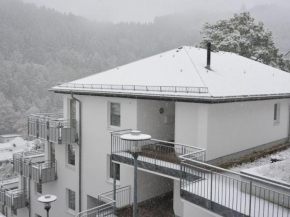 Apartment on the 2nd floor with balcony and view